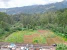Vente Terrain Santana SA�O-JORGE 3630 m2 Portugal