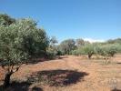 Vente Terrain Santarem ALMOSTER 8600 m2 Portugal