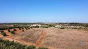 Vente Terrain Santarem ABITUREIRAS 500 m2 Portugal