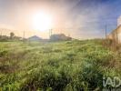 Vente Terrain Santarem AZOIA-DE-CIMA-E-TREMAªS 425 m2 Portugal