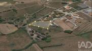 Vente Terrain Santarem 2296 m2 Portugal