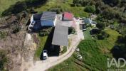 Vente Terrain Santarem AMIAIS-DE-BAIXO 11435 m2 Portugal