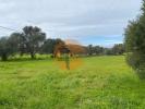 Vente Terrain Sao-bras-de-alportel SA£O-BRA¡S-DE-ALPORTEL 1540 m2 Portugal