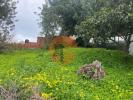 Vente Terrain Sao-bras-de-alportel SA£O-BRA¡S-DE-ALPORTEL 1800 m2 Portugal