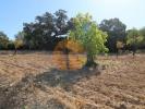 Vente Terrain Sao-bras-de-alportel SA�O-BRA�S-DE-ALPORTEL 3620 m2 Portugal