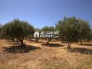Vente Terrain Sao-bras-de-alportel  678 m2 Portugal