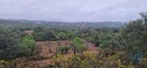 Vente Terrain Sao-bras-de-alportel SAO-BRAS-DE-ALPORTEL 3400 m2 Portugal
