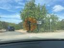 Vente Terrain Sao-bras-de-alportel SAO-BRAS-DE-ALPORTEL 2000 m2 Portugal