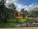 Vente Terrain Sao-bras-de-alportel SAO-BRAS-DE-ALPORTEL 600 m2 Portugal