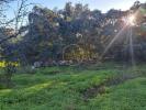 Vente Terrain Sao-bras-de-alportel  130 m2 4 pieces Portugal