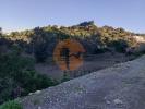 Vente Terrain Sao-bras-de-alportel SAO-BRAS-DE-ALPORTEL 4340 m2 Portugal