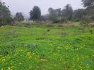 Vente Terrain Sao-bras-de-alportel SAO-BRAS-DE-ALPORTEL 1350 m2 Portugal