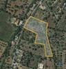 Vente Terrain Sao-bras-de-alportel SAO-BRAS-DE-ALPORTEL 7880 m2 Portugal