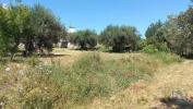 Vente Terrain Sao-bras-de-alportel SAO-BRAS-DE-ALPORTEL 2250 m2 Portugal