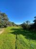 Vente Terrain Sao-bras-de-alportel SAO-BRAS-DE-ALPORTEL 9000 m2 Portugal