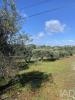 Vente Terrain Sao-bras-de-alportel  600 m2 Portugal