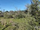 Vente Terrain Sao-bras-de-alportel SA�O-BRA�S-DE-ALPORTEL 560 m2 Portugal
