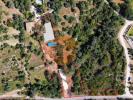 Vente Terrain Sao-bras-de-alportel SA£O-BRA¡S-DE-ALPORTEL 286 m2 Portugal