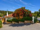 Vente Maison Sao-bras-de-alportel SA£O-BRA¡S-DE-ALPORTEL 48 m2 Portugal
