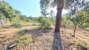 Vente Terrain Serta PEDRAGAO-PEQUENO 10398 m2 Portugal