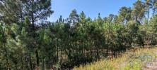 Vente Terrain Serta TROVISCAL 4950 m2 Portugal