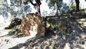 Vente Terrain Serta PEDRA³GA£O-PEQUENO 3300 m2 Portugal