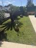 Vente Maison Sesimbra CASTELO-(SESIMBRA) 222 m2 8 pieces Portugal