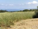 Vente Terrain Sesimbra CASTELO-(SESIMBRA) 32767 m2 Portugal