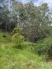 Vente Terrain Sesimbra CASTELO-(SESIMBRA) 16500 m2 Portugal