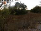 Vente Terrain Silves SA�O-BARTOLOMEU-DE-MESSINES 8880 m2 Portugal