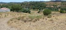 Vente Terrain Silves  Portugal