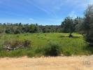 Vente Terrain Silves SILVES 2900 m2 Portugal