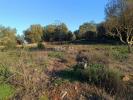 Vente Terrain Silves  Portugal
