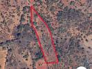 Vente Terrain Silves SILVES 8360 m2 Portugal
