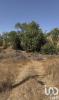 Vente Terrain Silves ALGOZ-E-TUNES 6480 m2 Portugal