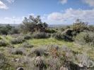 Vente Terrain Silves ALGOZ-E-TUNES 8320 m2 Portugal