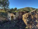 Vente Terrain Silves SA�O-BARTOLOMEU-DE-MESSINES 16400 m2 Portugal