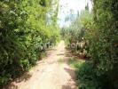 Vente Terrain Silves  Portugal