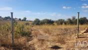 Vente Terrain Silves ALGOZ-E-TUNES 26190 m2 Portugal