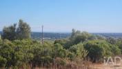 Vente Terrain Silves SA�O-BARTOLOMEU-DE-MESSINES 2800 m2 Portugal
