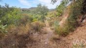 Vente Terrain Silves SA£O-BARTOLOMEU-DE-MESSINES 1240 m2 Portugal