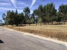 Vente Terrain Soure ALFARELOS 250 m2 Portugal