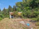 Vente Maison Tabua PAVOA-DE-MIDAES 22201 m2 Portugal
