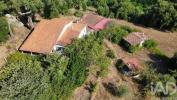 Vente Terrain Tabua MIDA�ES 29760 m2 Portugal