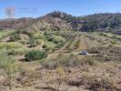 Vente Terrain Tavira CONCEIA§A£O 5550 m2 Portugal