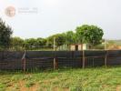 Vente Terrain Tavira LUZ-DE-TAVIRA-E-SANTO-ESTAªVA£O 2967 m2 Portugal