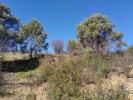 Vente Terrain Tavira CONCEIAAO-E-CABANAS-DE-TAVIRA 1700 m2 Portugal