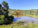 Vente Terrain Tavira CONCEIAAO-E-CABANAS-DE-TAVIRA 32767 m2 Portugal