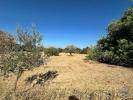 Vente Terrain Tavira LUZ-DE-TAVIRA-E-SANTO-ESTA�VA�O 6820 m2 Portugal