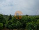 Vente Terrain Tavira LUZ-DE-TAVIRA-E-SANTO-ESTAVAO 330 m2 Portugal